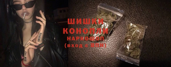 соль ск Строитель