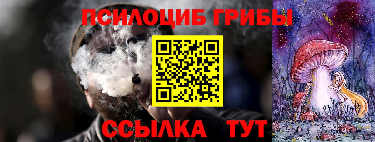Галлюциногенные грибы Cubensis Белорецк
