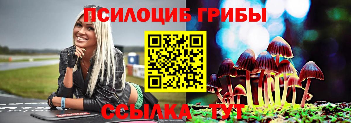 Галлюциногенные грибы Cubensis  Белорецк 